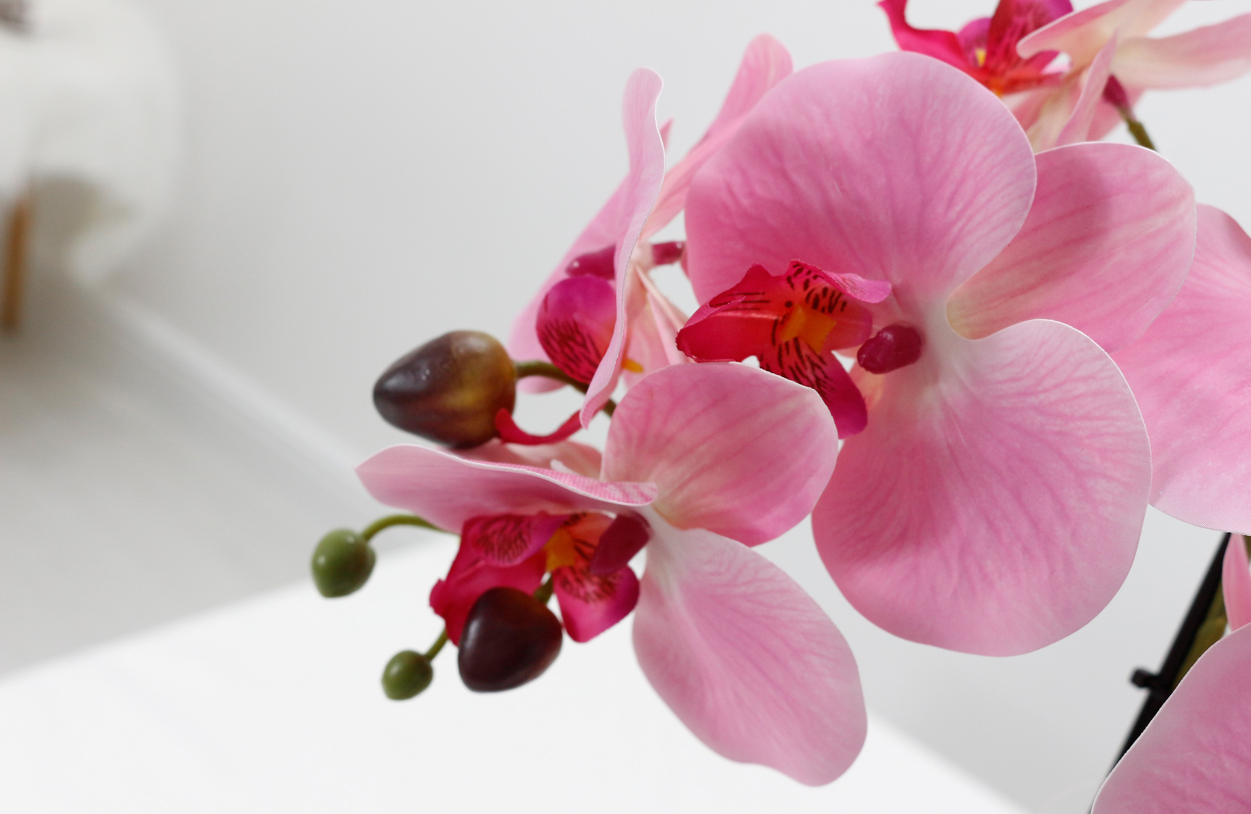 Artificial Plant for Healthcare-01.jpg